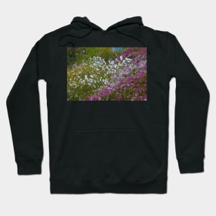 Moorland Cotton grass (Eriophorum) Hoodie